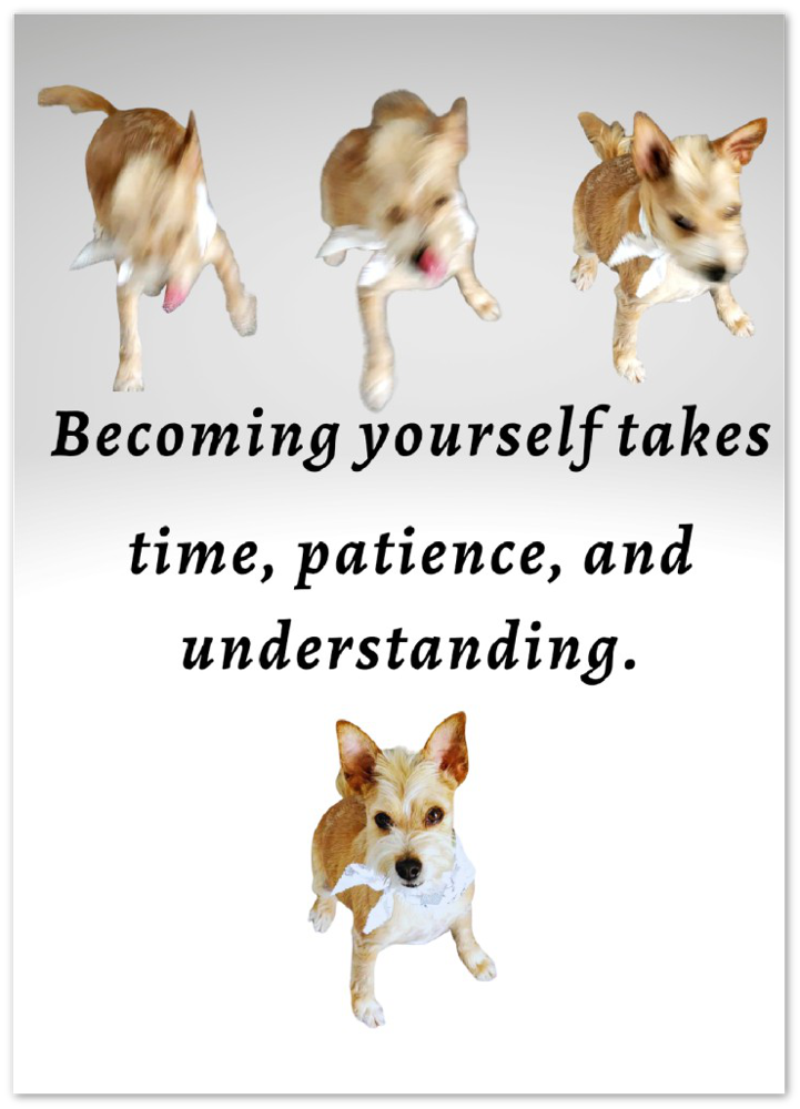 Post Card - Becoming yourself takes time, patience, and understanding.